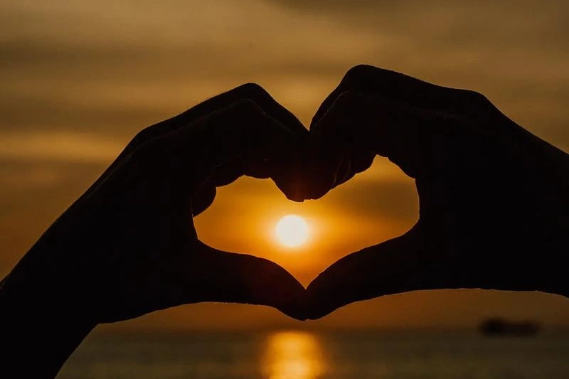 Partnership & Vision