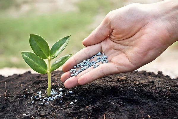 Agricultura